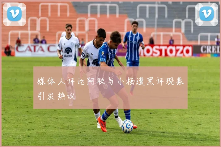 媒体人评论阿联与小杨遭黑评现象引发热议