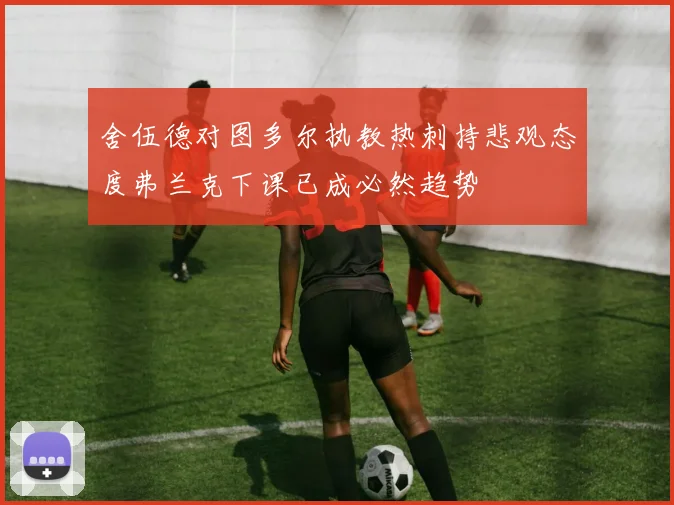 舍伍德对图多尔执教热刺持悲观态度弗兰克下课已成必然趋势