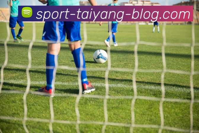 太阳城平台生态图