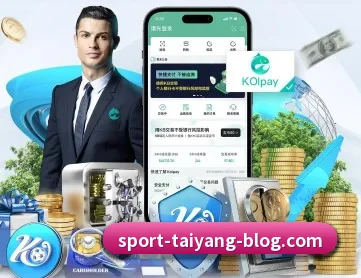 太阳城 APP 深度功能